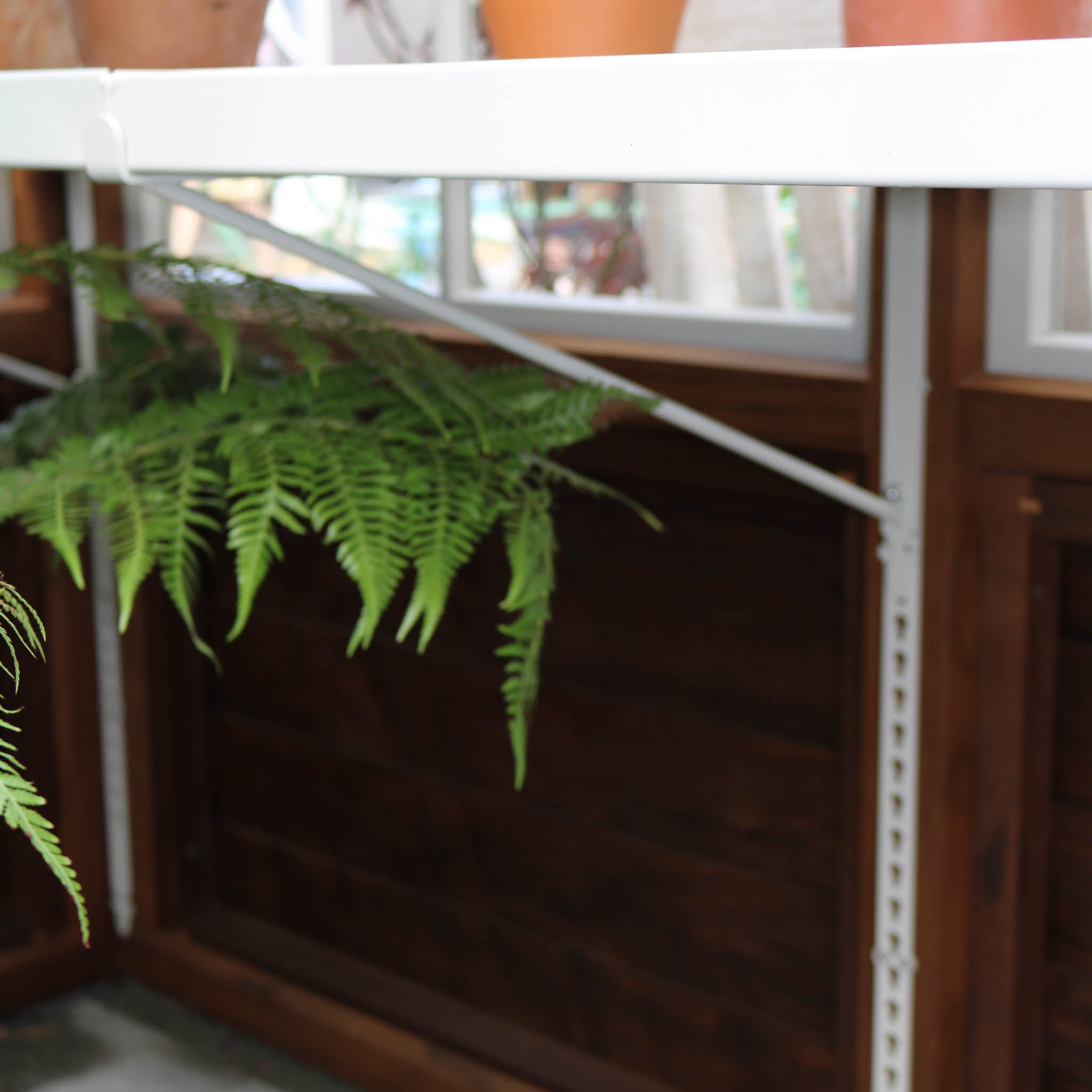 Second Lower Shelf