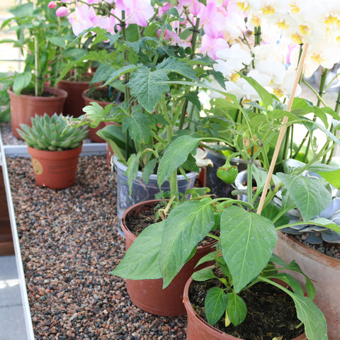 Lower Shelf for Gable End
